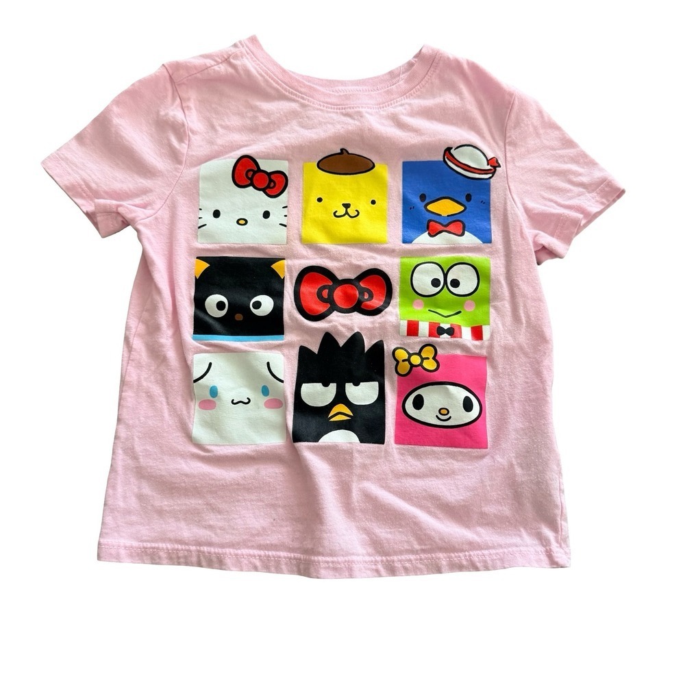 Sanrio T-Shirt Pink Hello Kitty and Friends Graphic Kids 4T